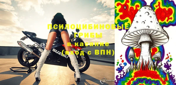 дмт Алексин