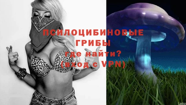 дмт Алексин
