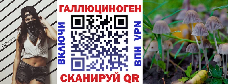 Галлюциногенные грибы Magic Shrooms  Новокубанск 
